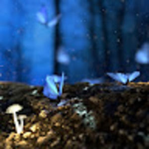 Meet your Posher, Lori